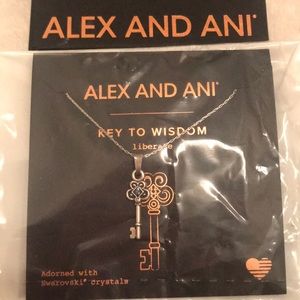 Alex & Ani key necklace